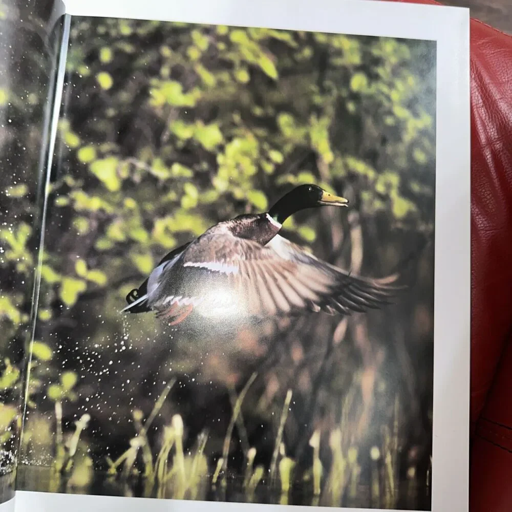 The Encyclopedia of Birds by Per‎ Christiansen (1991, Hardcover) Coffee table